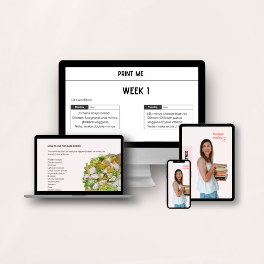 Budget Meal Plan Matrix